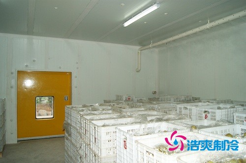 圖示：浩爽制冷為蜜之源果業(yè)建造的柑橘氣調冷庫