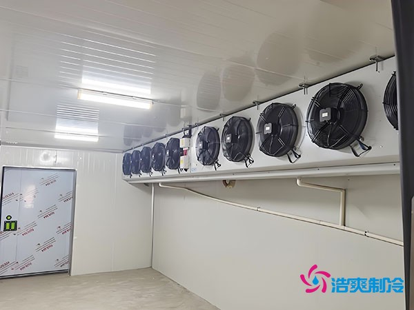 冷凍庫建設每平方米的造價是多少？