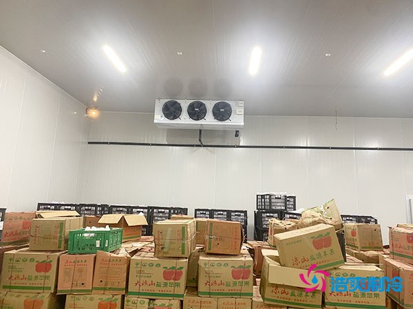 建設大型冷庫造價成本需要多少資金投入呢？