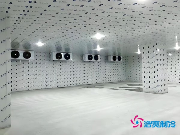 100平米冷凍庫安裝費用及造價多少錢？