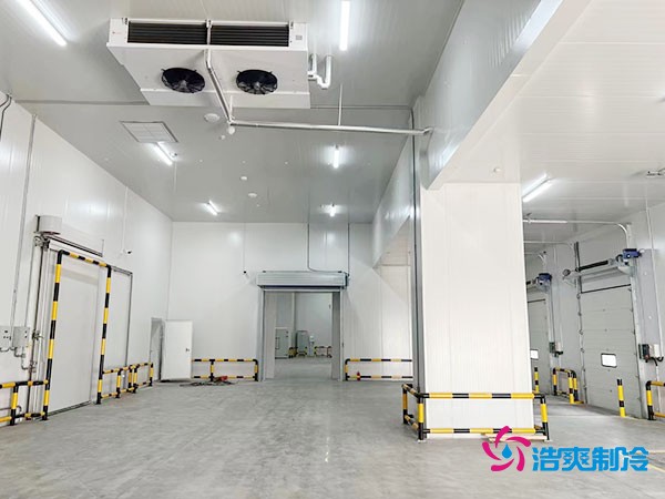 建設一個100平方米豬肉冷凍庫造價預算多少錢？