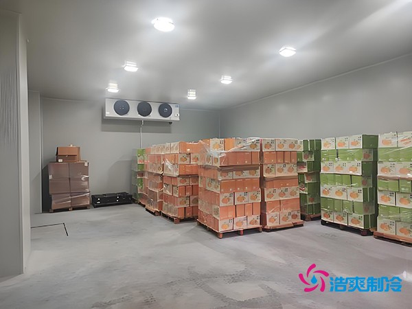 1000噸果蔬保鮮庫造價揭秘，節省成本就靠這幾點！