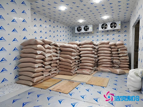 2萬起建種子冷庫？這些因素讓造價翻倍！