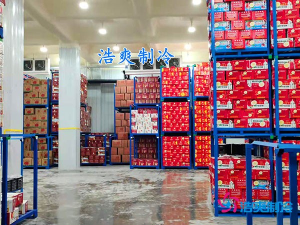 500平果蔬冷庫造價(jià)曝光！35萬起建，省錢秘訣在這里！