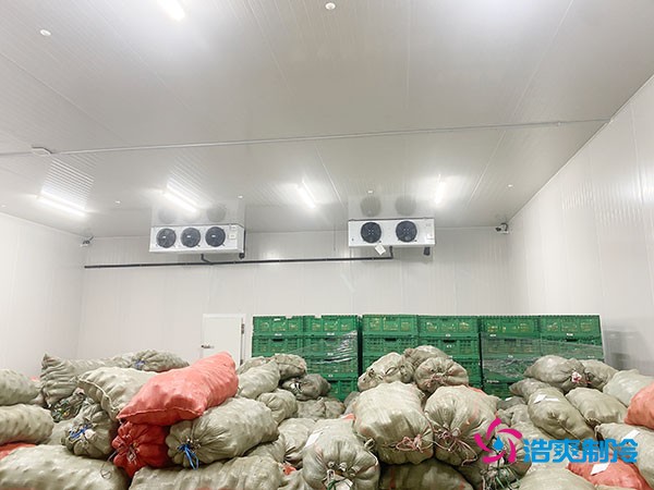 500平果蔬冷庫造價(jià)曝光！35萬起建，省錢秘訣在這里！