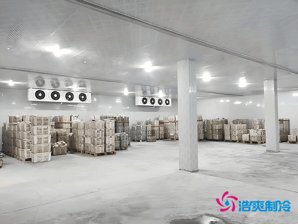 零下35℃制冰！建一個冷庫到底要花多少錢？