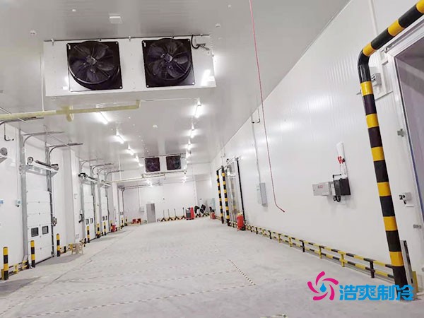 冷庫造價懸殊？揭秘每平米價格背后的秘密！