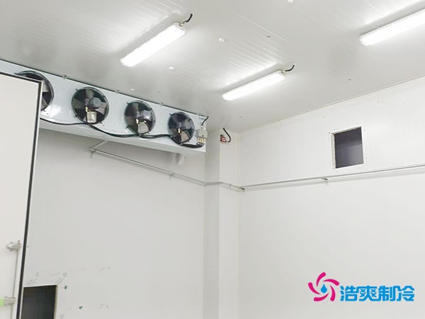 上海小型冷庫造價(jià)揭秘！2萬起真的靠譜嗎？