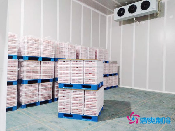 上海市青浦區(qū)水果保鮮冷庫(kù)安裝價(jià)格概覽