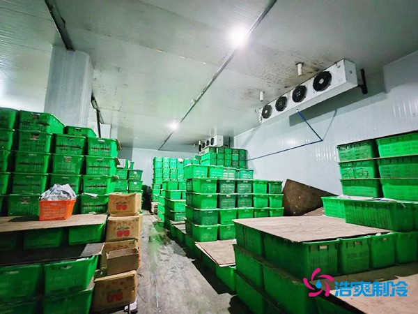 水果保鮮冷庫(kù)建造價(jià)格每平米多少錢？