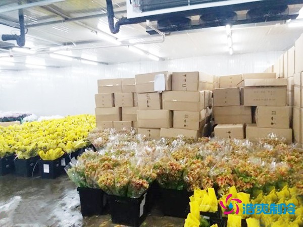 建造500㎡花卉鮮花冷庫(kù)工程造價(jià)預(yù)算解析